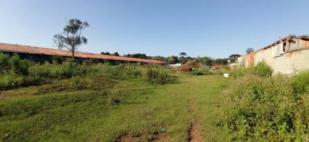 Lote/Terreno à venda, 6050m² no Campo Largo da Roseira, São José dos Pinhais