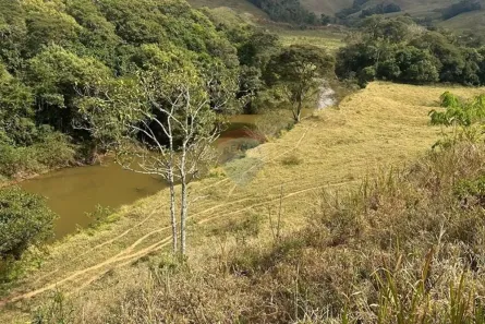 Fazenda/Sítio à venda, 350000m² no , Lima Duarte