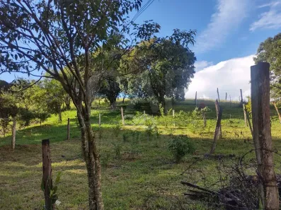 Fazenda/Sítio com 8 Quartos à venda, 500m² no , Monte Alegre do Sul