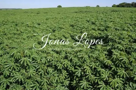 Fazenda/Sítio com 1 Quarto à venda, 30m² no , Teodoro Sampaio