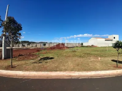 Lote/Terreno à venda, 250m² no Residencial Samambaia, São Carlos