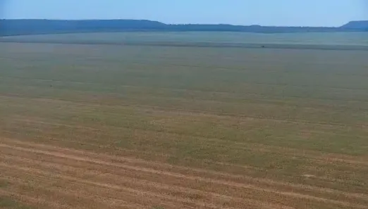 Fazenda/Sítio com 2 Quartos à venda, 62510000m² no Agrovila Nova Santa Rosa, Uruçuí