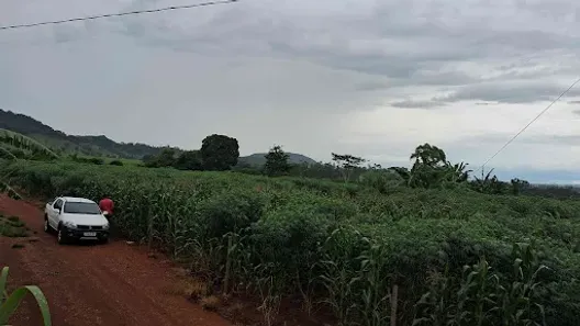 Fazenda/Sítio à venda, 4000m² no , Petrolina de Goiás