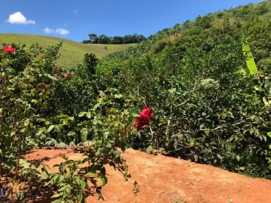 Fazenda/Sítio com 4 Quartos à venda, 163m² no , Domingos Martins