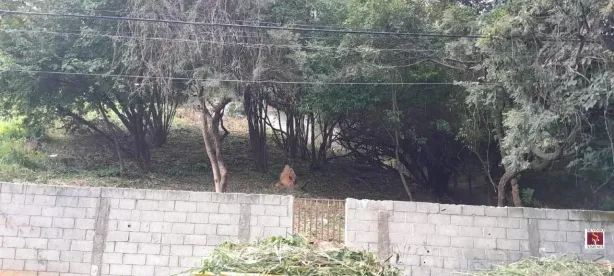 Lote/Terreno à venda, 525m² no Estoril, Belo Horizonte