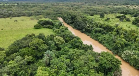 Fazenda/Sítio com 1 Quarto à venda, 2100000m² no Centro, Buritis