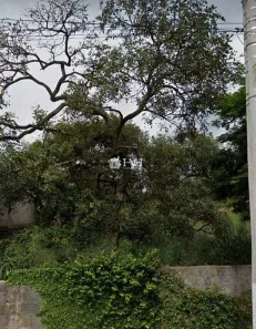 Lote/Terreno à venda, 360m² no Novo Santos Dumont, Lagoa Santa