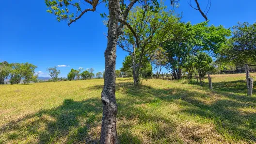 Fazenda/Sítio à venda, 21000m² no Moreira César, Pindamonhangaba