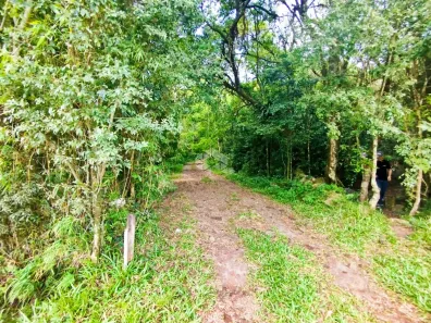 Fazenda/Sítio à venda, 20000m² no , Vera Cruz