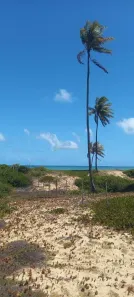 Lote/Terreno à venda, 1025m² no Porto de Sauípe, Entre Rios