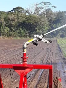 Fazenda/Sítio com 4 Quartos à venda, 10m² no , Santo Antônio de Leverger
