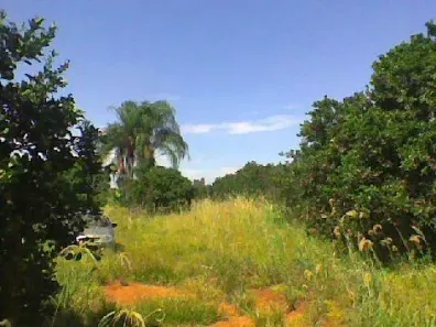 Lote/Terreno à venda, 68000m² no Parque Residencial Rosamélia, Cosmópolis