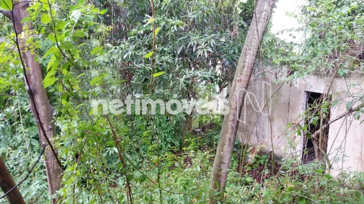 Lote/Terreno à venda, 593m² no Jardim Guanabara, Rio de Janeiro