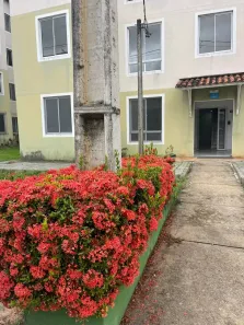 Apartamento com 2 Quartos à venda, 50m² no Parque das Árvores, Parnamirim