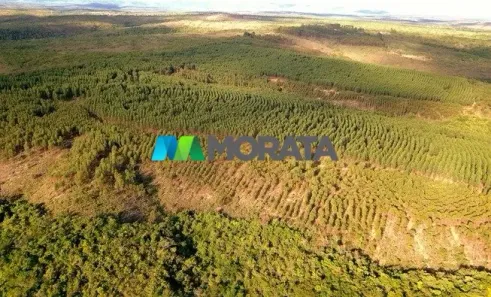 Fazenda/Sítio com 1 Quarto à venda, 220m² no Centro, Baldim