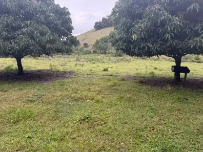 Fazenda/Sítio com 2 Quartos à venda, 98000m² no Maraporã, Cachoeiras de Macacu