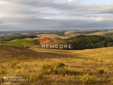 Fazenda/Sítio com 1 Quarto à venda, 50000m² no Centro, São Francisco de Paula