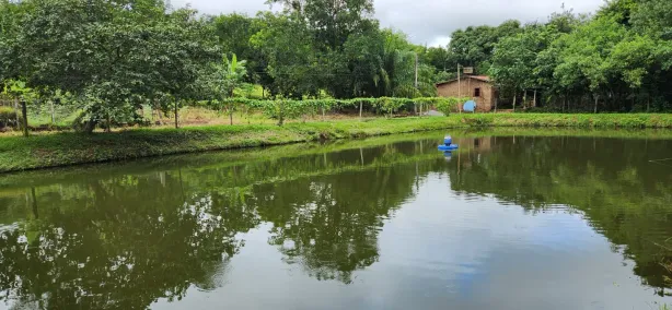 Fazenda/Sítio com 5 Quartos à venda, 450m² no Área Rural de Nerópolis, Nerópolis
