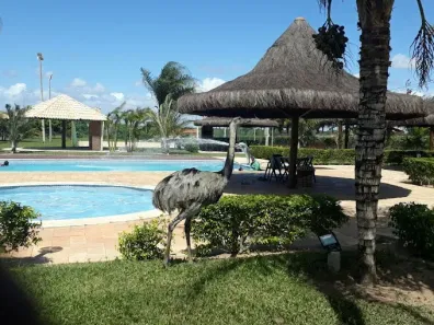 Lote/Terreno à venda, 750m² no , Macaíba
