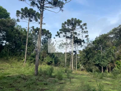 Fazenda/Sítio com 1 Quarto à venda, 32288m² no , Campo Alegre