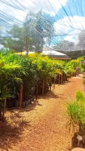 Ponto Comercial à venda, 6200m² no Rodoviário, Goiânia