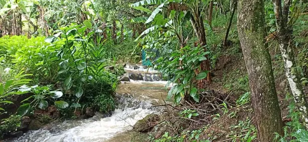 com 3 Quartos à venda, 1m² no , Passa Quatro