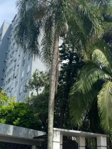 Apartamento com 2 Quartos para alugar, 65m² no Cristal, Porto Alegre