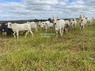 Fazenda/Sítio à venda, 1258400m² no , Abadiânia