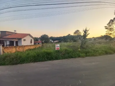 Lote/Terreno à venda, 524m² no Pinheirinho, Criciúma