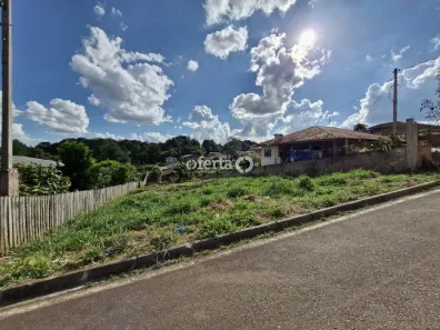 Lote/Terreno à venda, 600m² no Centro, Araucária