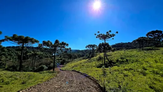 Fazenda/Sítio à venda, 11000m² no , Urupema