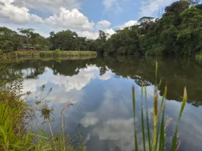 Fazenda/Sítio com 1 Quarto à venda, 33000m² no , Terezópolis de Goiás