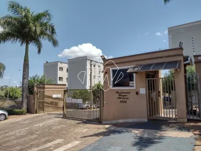 Apartamento com 2 Quartos para alugar, 49m² no Jardim Universal, Araraquara