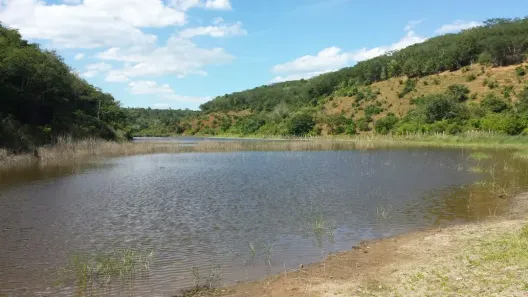 Fazenda/Sítio com 4 Quartos à venda, 22500000m² no Zona Rural, Mundo Novo