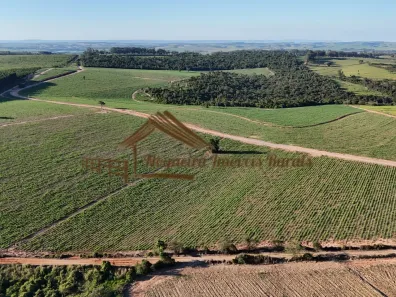 Fazenda/Sítio à venda, 1m² no , Conchas