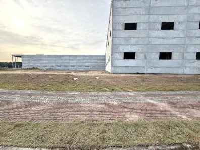 Galpão/Depósito/Armazém com 3 Quartos para alugar, 10000m² no Santa Terezinha, Gaspar