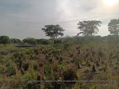 Fazenda/Sítio com 1 Quarto à venda, 10m² no Araés, Cuiabá