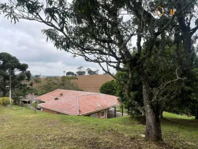 Fazenda/Sítio com 4 Quartos à venda, 200m² no , Pinhalzinho