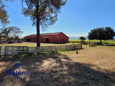 com 2 Quartos para alugar, 20000m² no ZONA RURAL SÃO SIMÃO, São Simão