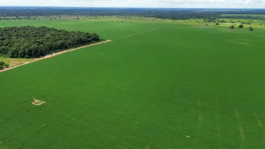 Fazenda/Sítio com 3 Quartos à venda, 147m² no , Nova Crixás