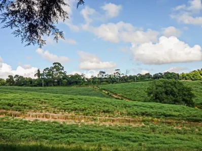 Fazenda/Sítio com 1 Quarto à venda, 22553m² no Iara, Atibaia