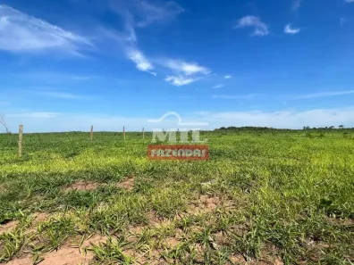Fazenda/Sítio à venda, 508000m² no , Natividade