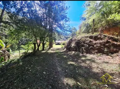 Fazenda/Sítio com 3 Quartos à venda, 20000m² no Es 383, Alfredo Chaves