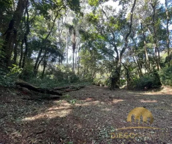 Lote/Terreno à venda, 1147m² no Jundiaizinho (Terra Preta), Mairiporã