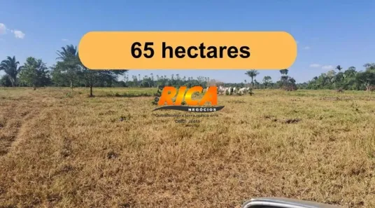 Fazenda/Sítio à venda, 650000m² no Área Rural de Porto Velho, Porto Velho