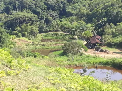 Fazenda/Sítio com 4 Quartos à venda, 872400m² no , Juquiá