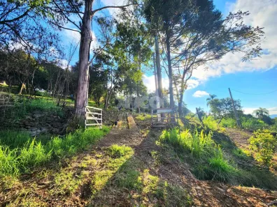 Fazenda/Sítio com 1 Quarto à venda, 44989m² no Vale do Rio Caí, Nova Petrópolis