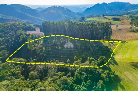 Lote/Terreno à venda, 35291m² no Bateias, Campo Largo