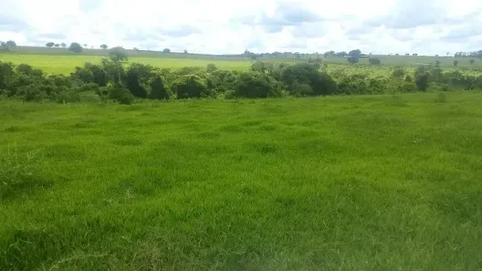 Fazenda/Sítio à venda, 1936000m² no Área Rural de Paranavaí, Paranavaí