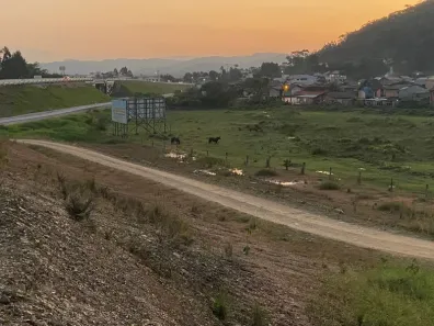 Lote/Terreno à venda, 20000m² no Belchior Baixo, Gaspar